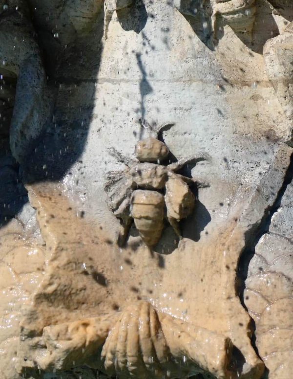 Bij op Tritonfontein Rome