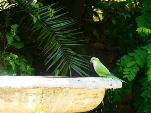 Foto parkiet Villa Sciara