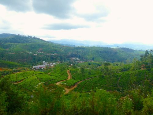 Uitzicht vanuit trein Sri Lanka