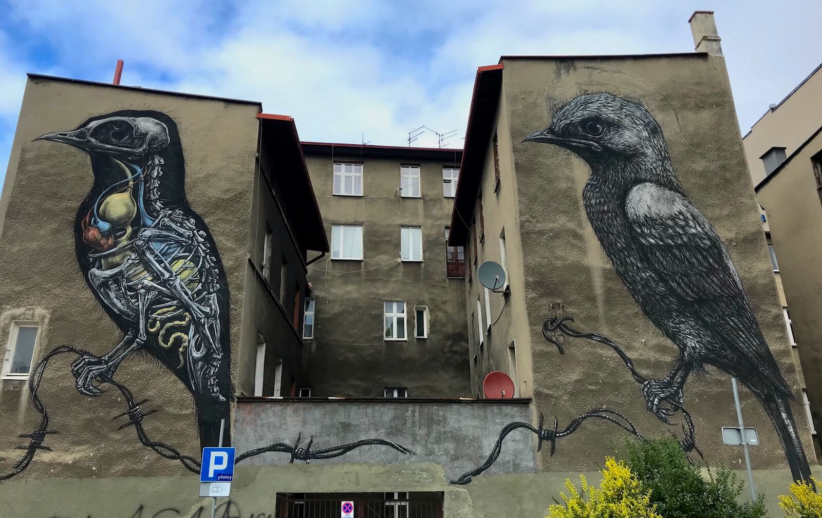 ROA street art Katowice
