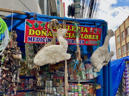 Heksenmarkt La Paz Bolivia, lama foetussen op Mercado de las Brujas